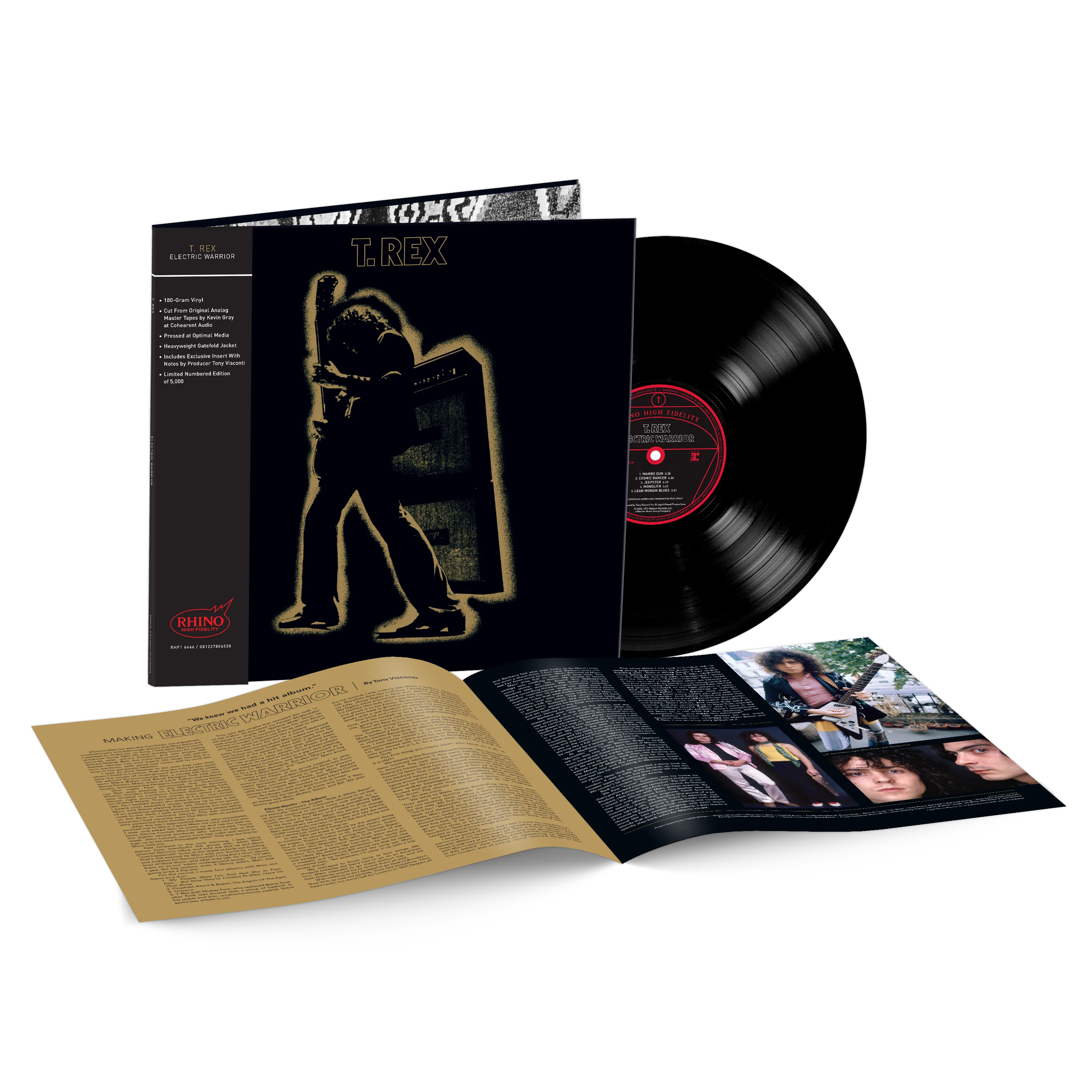 Electric Warrior (Rhino High Fidelity) Vinyl [LP]